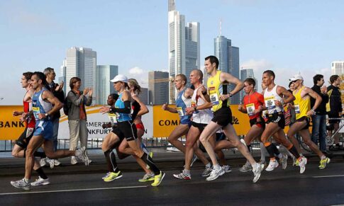 Introductory Courses